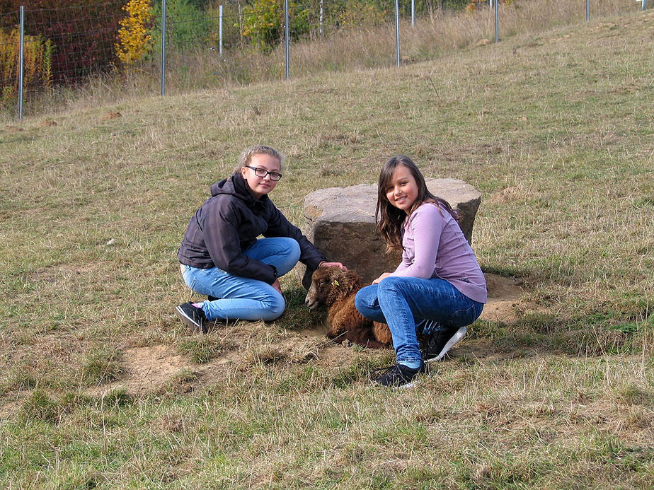 Messdienerausflug zum Edersee